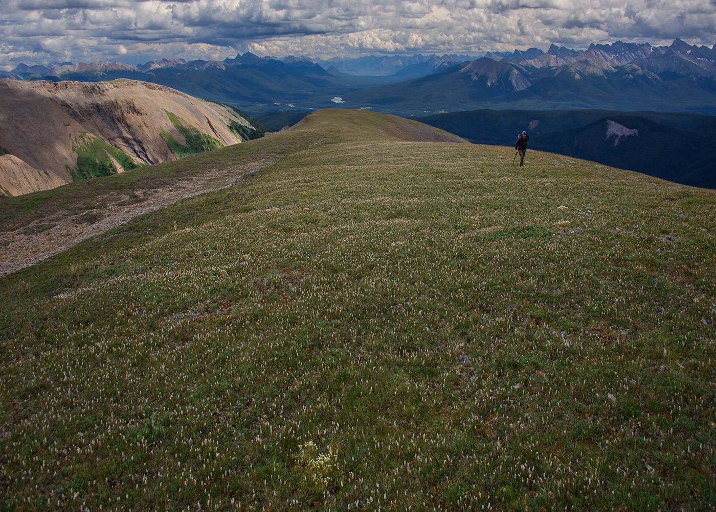 Willmore Wilderness Park, Rocky Mountains, Alberta, Canada